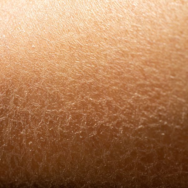 The Science of the "Second Skin": Why Your Barrier is the Key to Simple Luxury