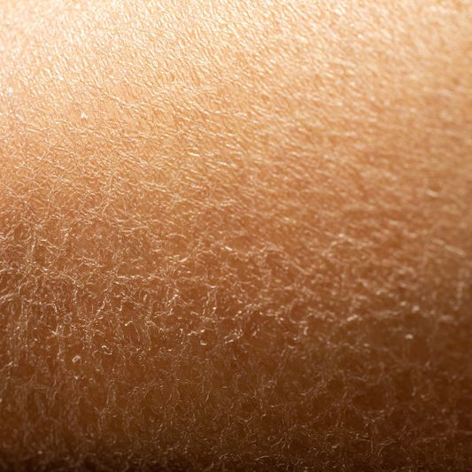 The Science of the "Second Skin": Why Your Barrier is the Key to Simple Luxury