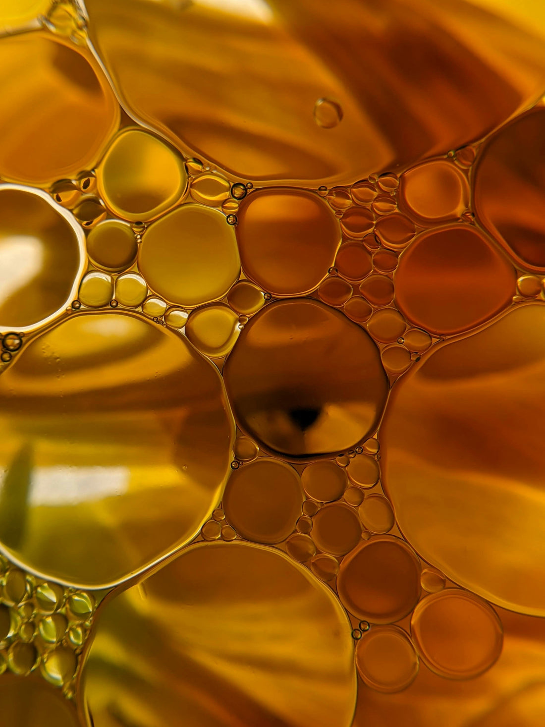 The Conscious Choice: Why We Balance Exotic Oils with Traditional Efficacy